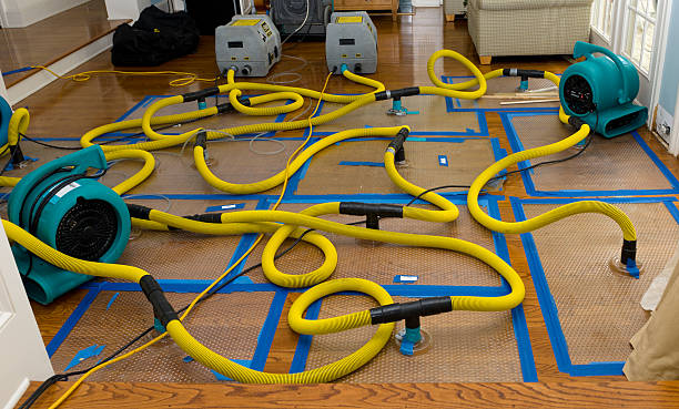 Professional Structural Drying And Dehumidification technician working in Lake Arrowhead, CA